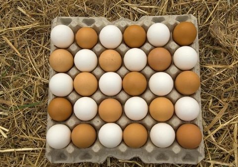 Хранение яиц для инкубации