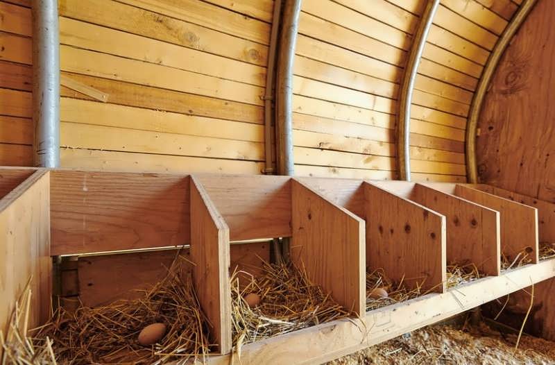 как сделать гнездо для курицы несушки